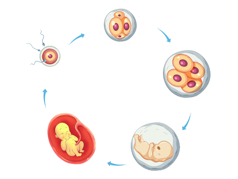 baby-cycle